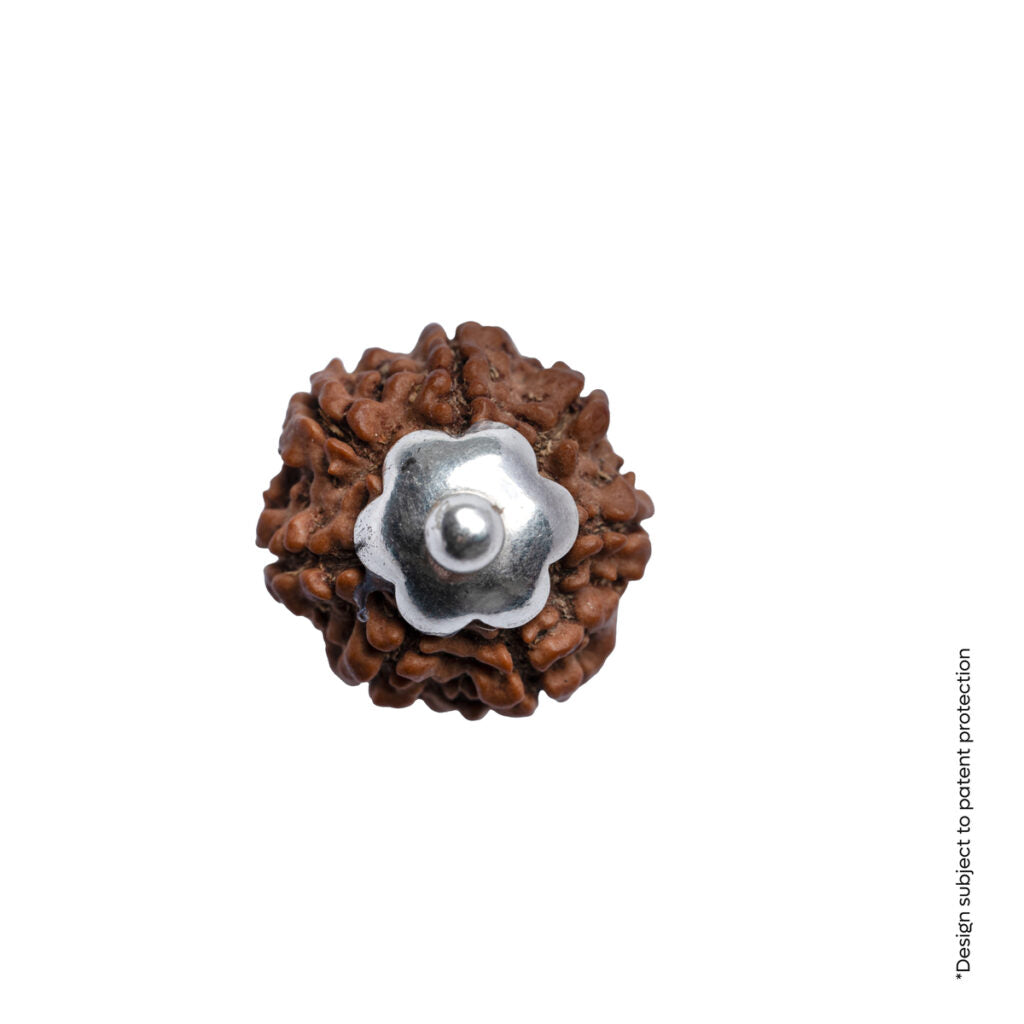 Adiyogi Pendant (7 Mukhi Nepali Rudraksha) With Chain