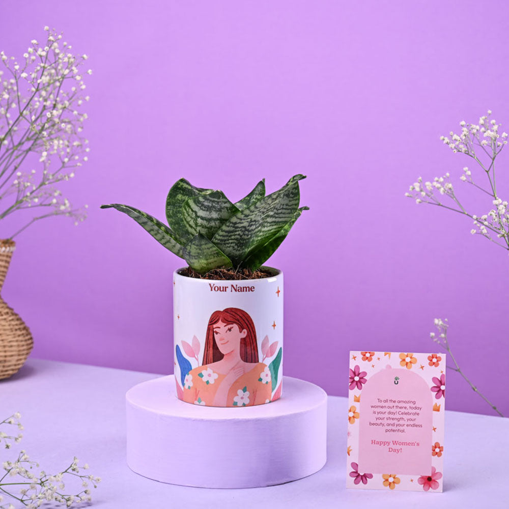 Snake Green in Ceramic Pot Women's Day Gift