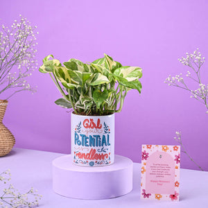 Money Plant N'joy in Ceramic Pot Women's Day Gift