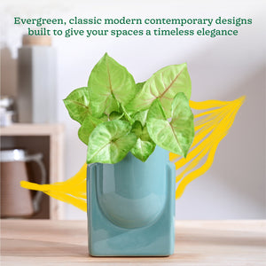 Cats are Gods Ceramic Planter