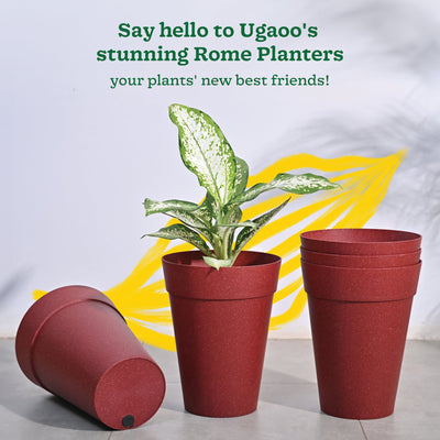 Roma Plastic Planter