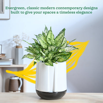 Moonlight Drama Ceramic Planter