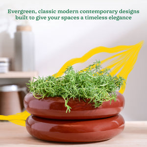 Tiny Kisses Ceramic Planter