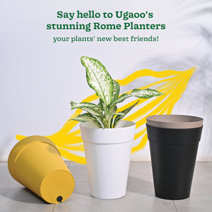 Roma Plastic Planter
