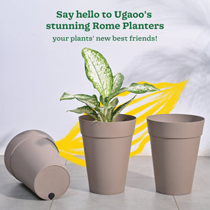 Roma Plastic Planter