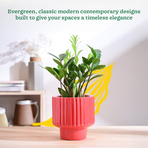 Forms of Love Ceramic Planter