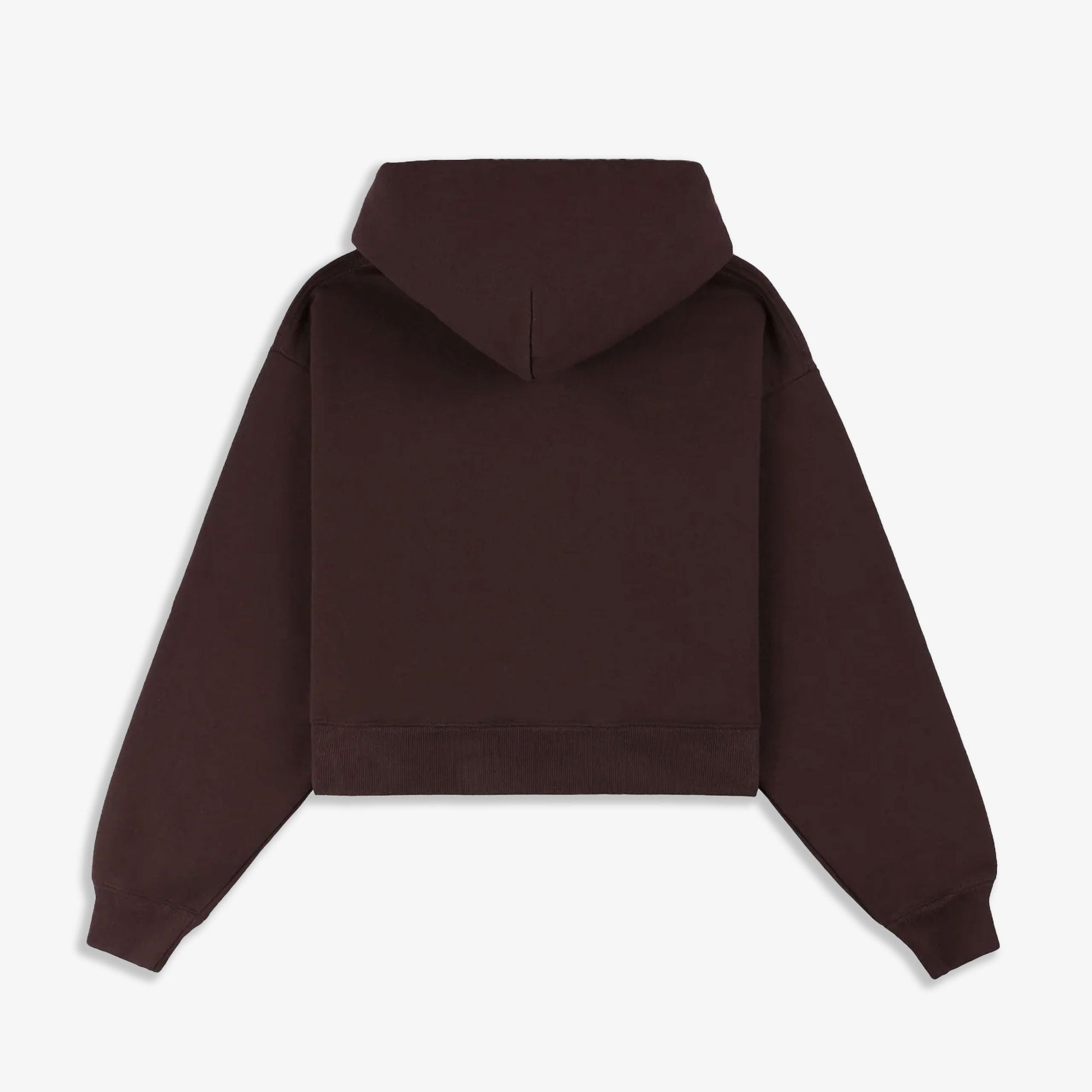 SPORTY & RICH | H&W CREST CROPPED HOODIE { BROWN