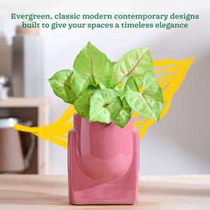 Cats are Gods Ceramic Planter