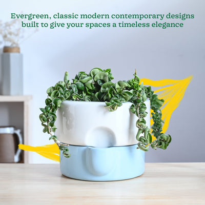 Flower Sunflower Ceramic Planter