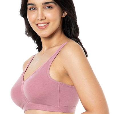Cotton Chic Support Solid Non Padded Non-Wired Bra - Mesa Rose