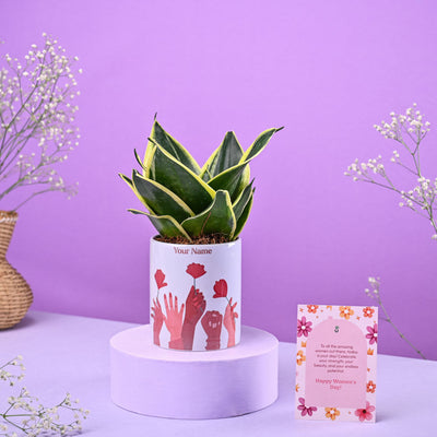 Snake Golden Hahnii in Ceramic Pot Women's Day Gift