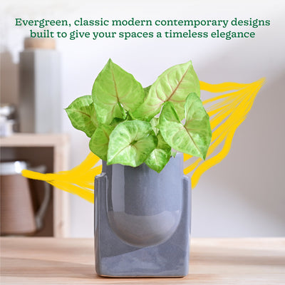 Cats are Gods Ceramic Planter