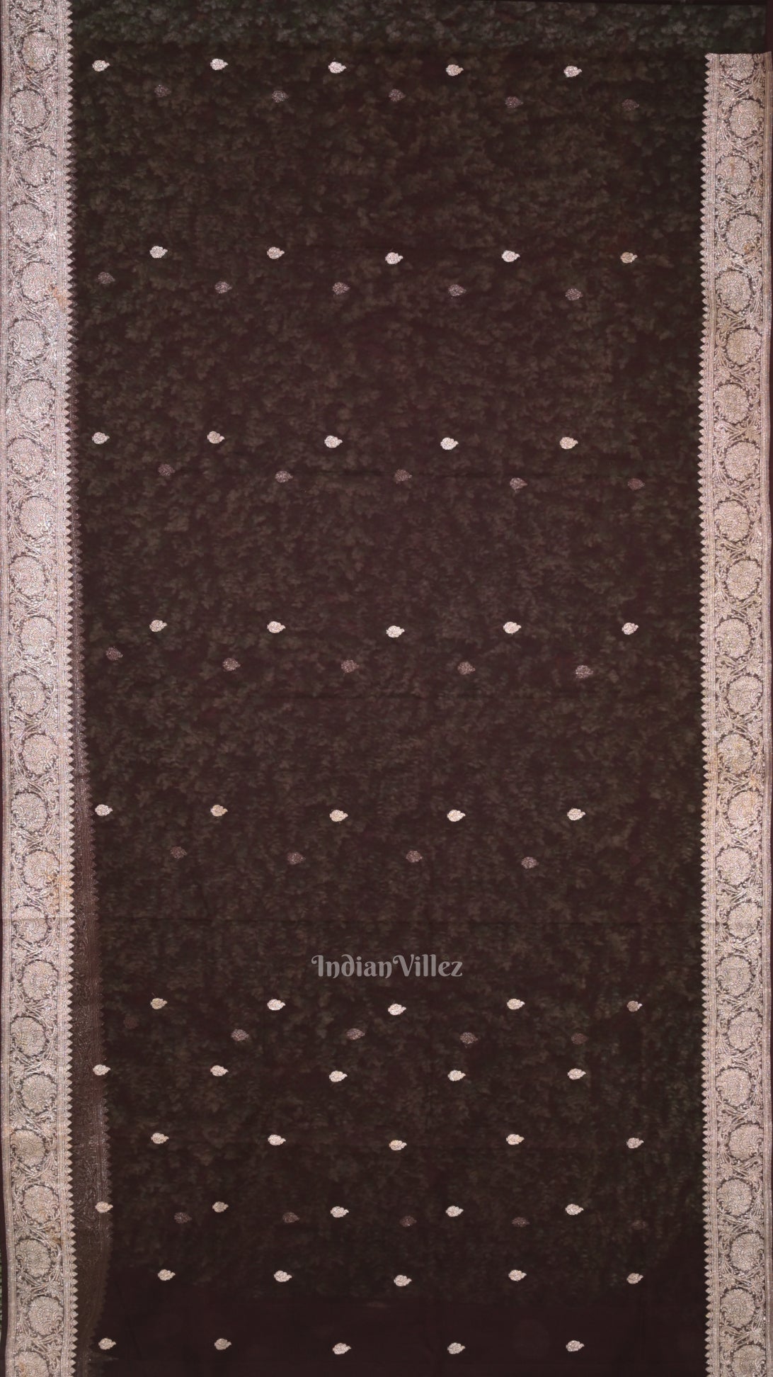 Coffee Color Pure Khaddi Chiffon Banarasi Saree