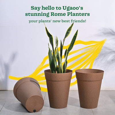 Roma Plastic Planter