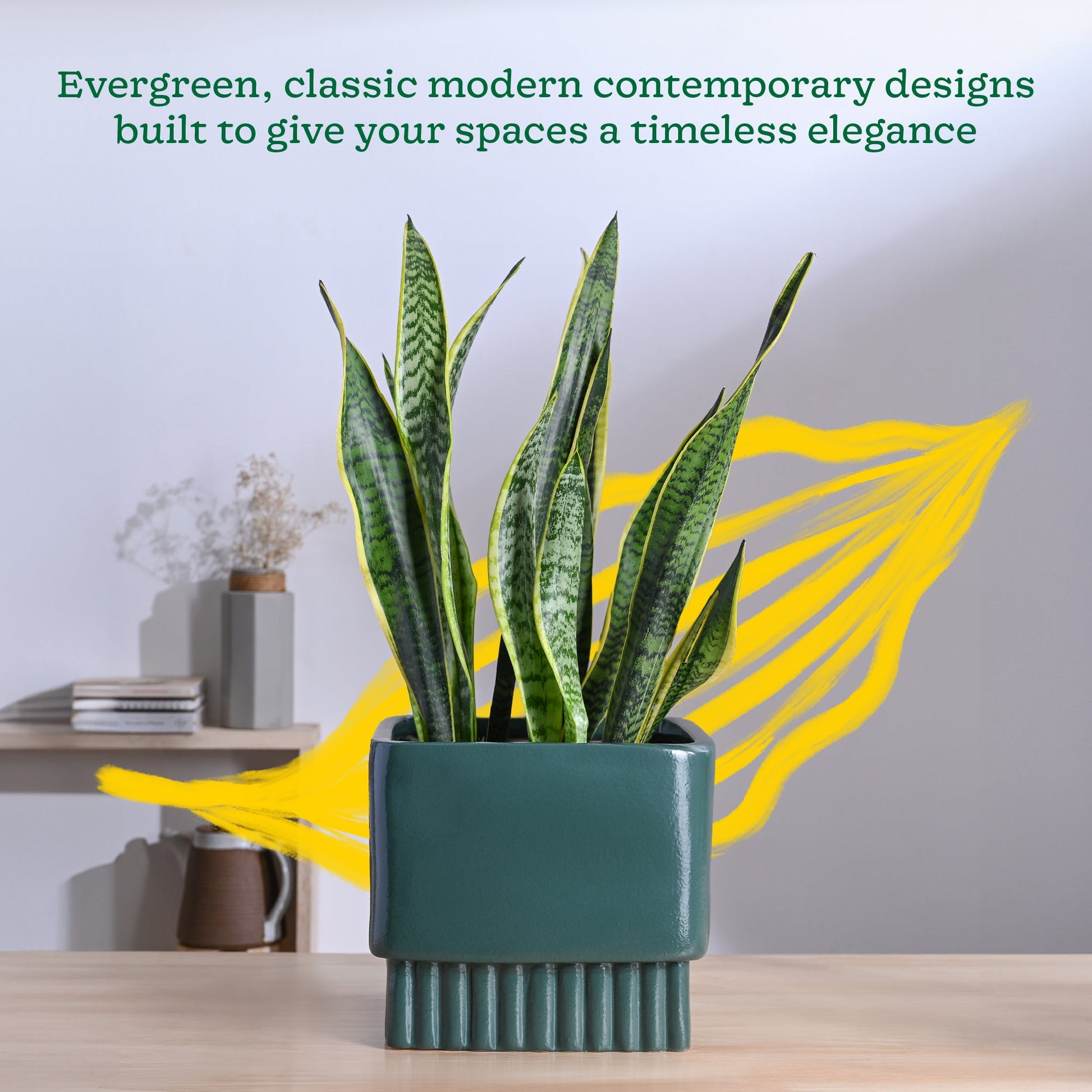 Immortal Nights Ceramic Planter