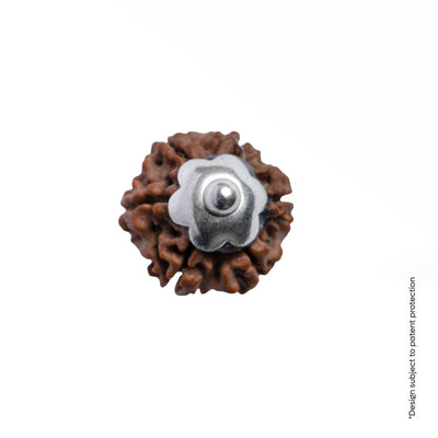 Adiyogi Pendant (6 Mukhi Nepali Rudraksha) With Chain
