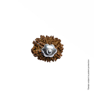 Adiyogi Pendant (12 Mukhi Nepali  Rudraksha) With Chain