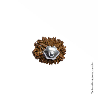Adiyogi Pendant (12 Mukhi Nepali  Rudraksha) With Chain