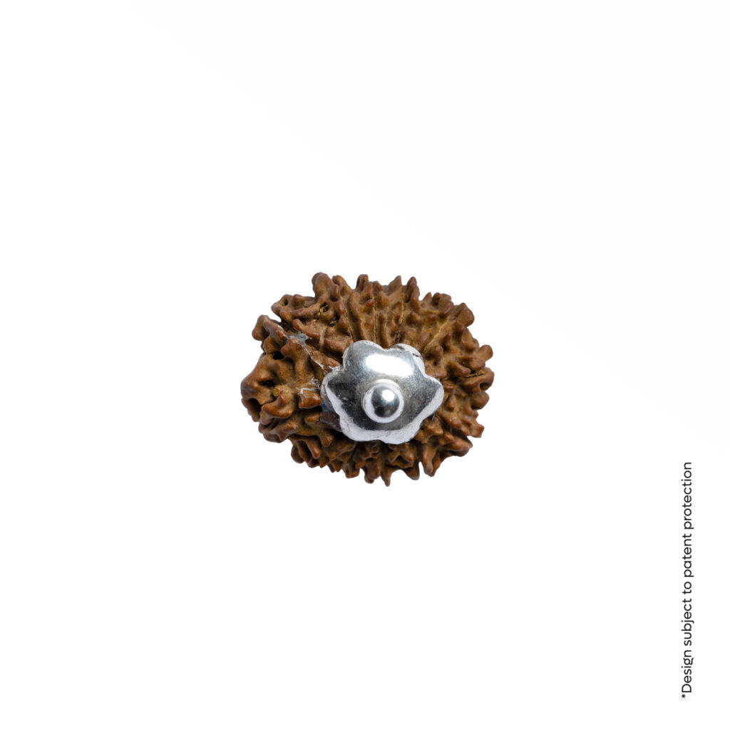 Adiyogi Pendant (12 Mukhi Nepali  Rudraksha) With Chain