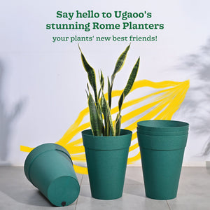 Roma Plastic Planter