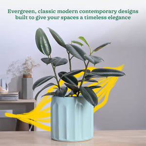 Blushing Sun Ceramic Planter