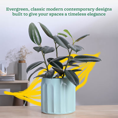 Blushing Sun Ceramic Planter