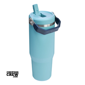 STANLEY Tumbler Mug IceFlow Flip Straw Agave 30 Oz
