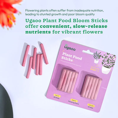 Plant Food Fertilizer Bloom Sticks For Flowering Plants