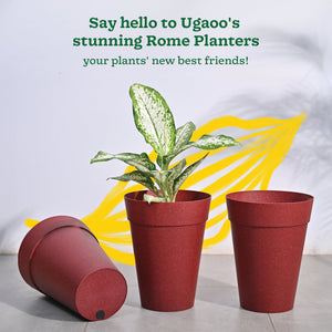 Roma Plastic Planter