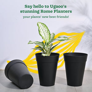 Roma Plastic Planter