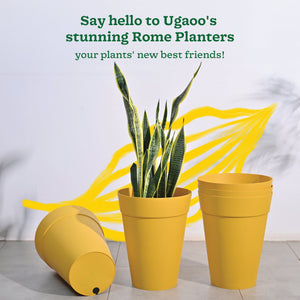 Roma Plastic Planter