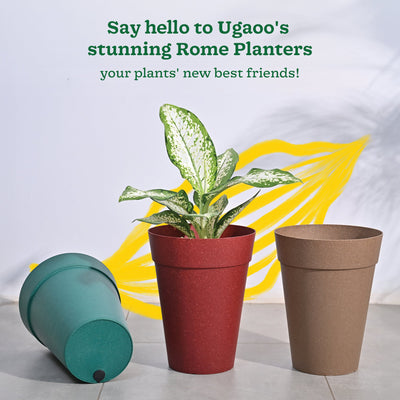 Roma Plastic Planter