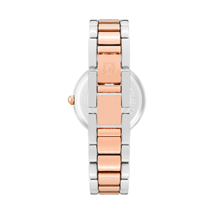 Anne Klein Analog Brown Dial Women 38mm