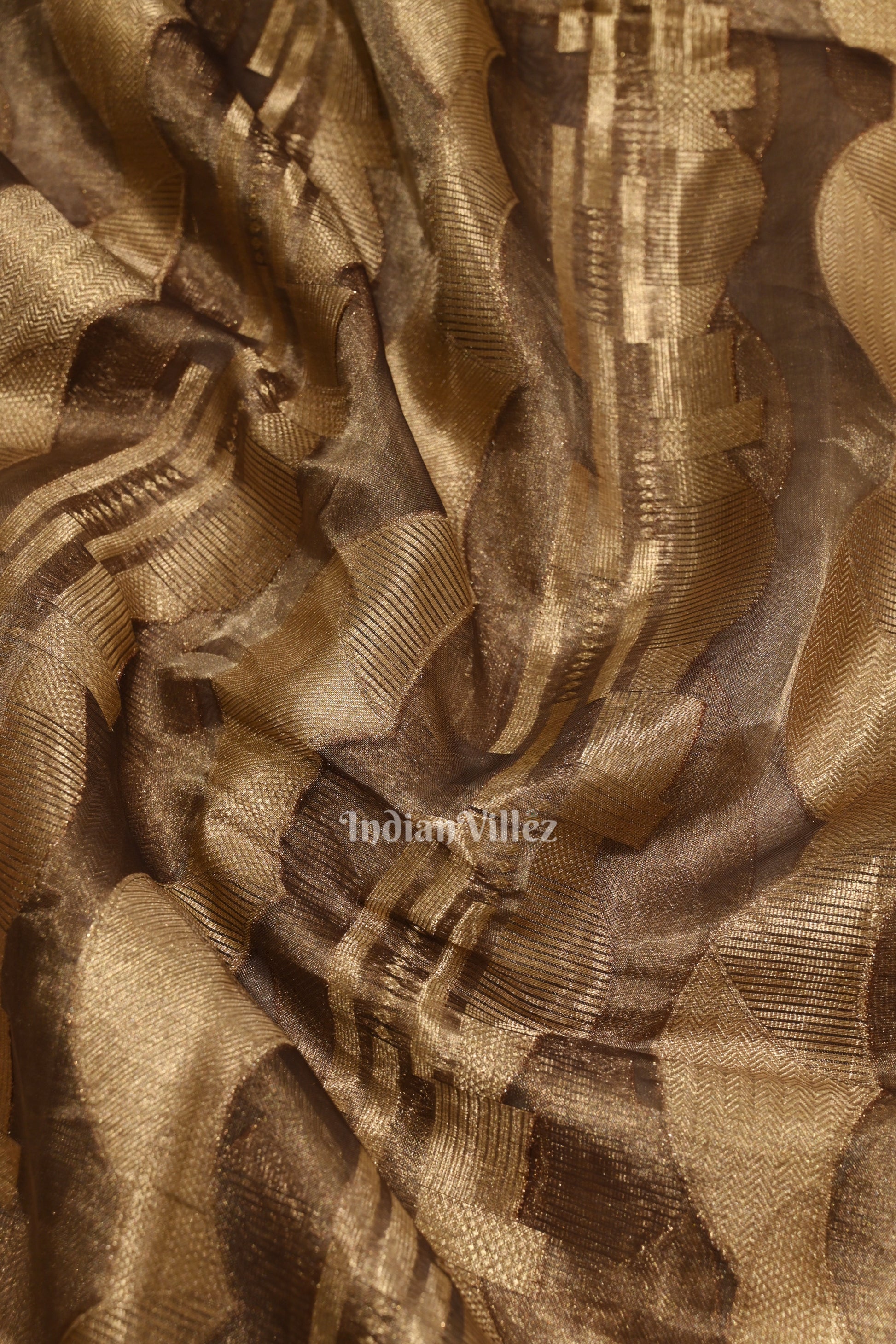 Zari Woven Banarasi Tissue Saree