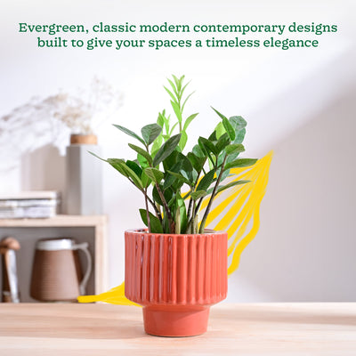 Forms of Love Ceramic Planter