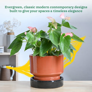 Soothing Rains Ceramic Planters