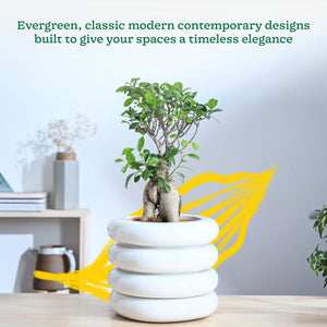 Tiny Kisses Ceramic Planter