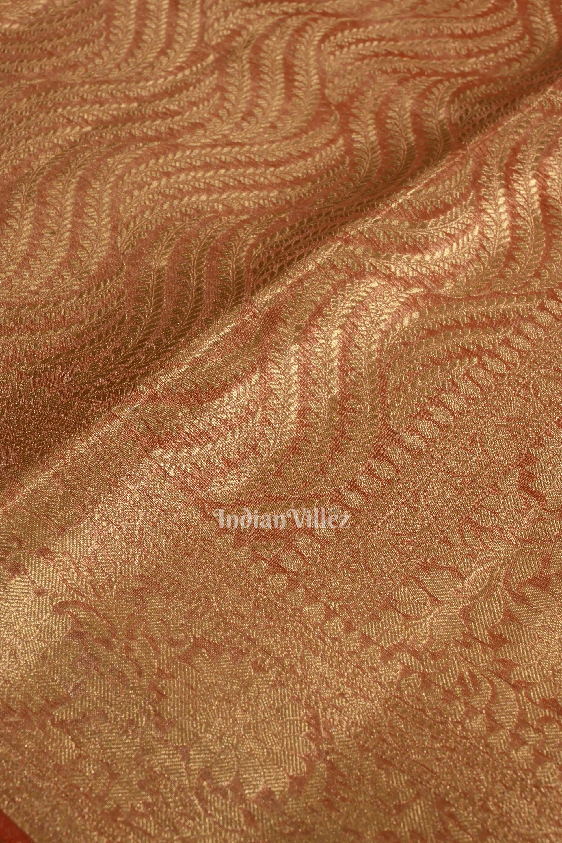Beige Red with Golden Brocade  Tissue  Banarasi Saree