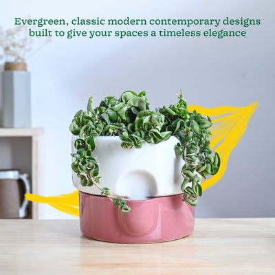 Flower Sunflower Ceramic Planter