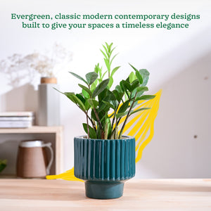 Forms of Love Ceramic Planter