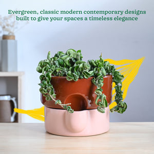 Flower Sunflower Ceramic Planter