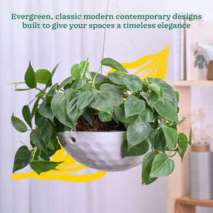 Hanging Ceramic Planters Petrichor Smite