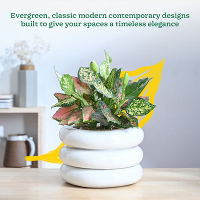 Tiny Kisses Ceramic Planter