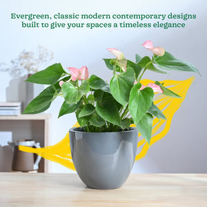 Echoing Eternity Ceramic Planter