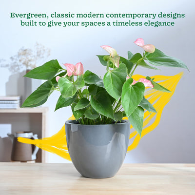 Echoing Eternity Ceramic Planter