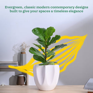 Tranquil Tales Ceramic Planter