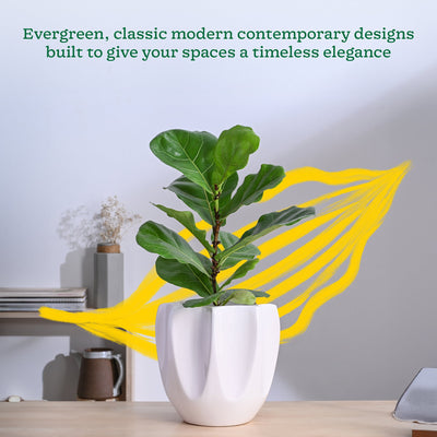 Tranquil Tales Ceramic Planter