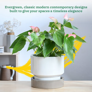 Soothing Rains Ceramic Planters