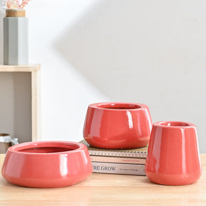 Tulip Fantasy Bundle - Light Red