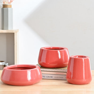 Tulip Fantasy Bundle - Light Red